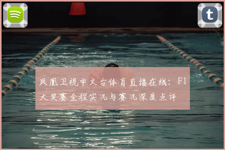凤凰卫视中文台体育直播在线:F1大奖赛全程实况与赛况深度点评